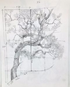Scaled-Sketch-for-Tree