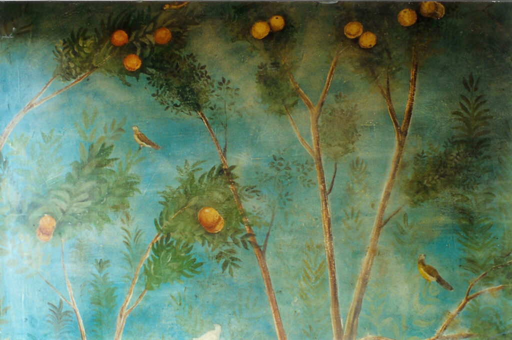 Tree with Fruits